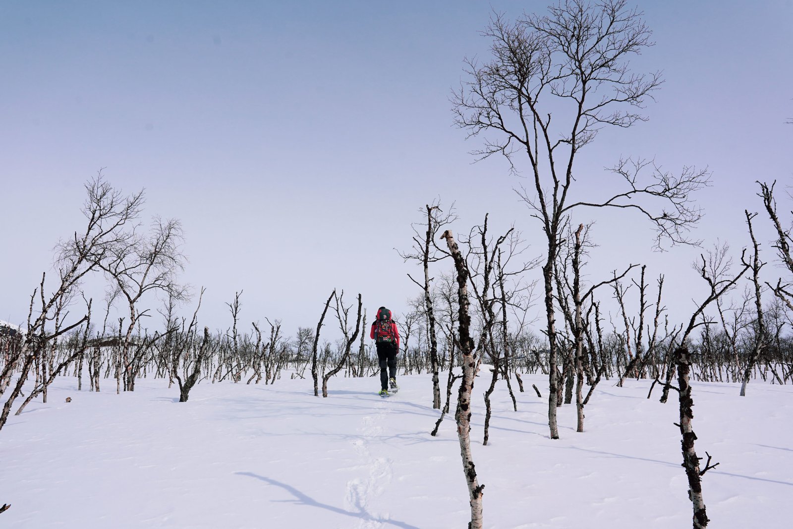 snowmobile tour kilpisjärvi