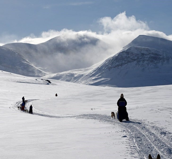 Aventure de 4 jours en traîneau à chiens au départ de Kiruna