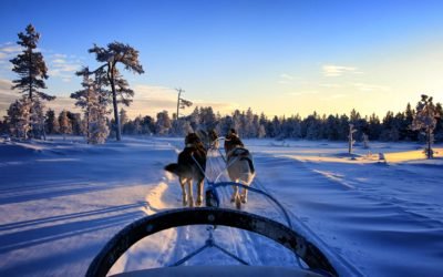 Safari en Chiens de Traîneaux en Laponie (2 Jours)