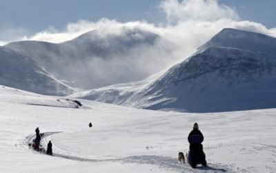 Expédition en Traîneau à Chien depuis Kiruna (14 Jours)