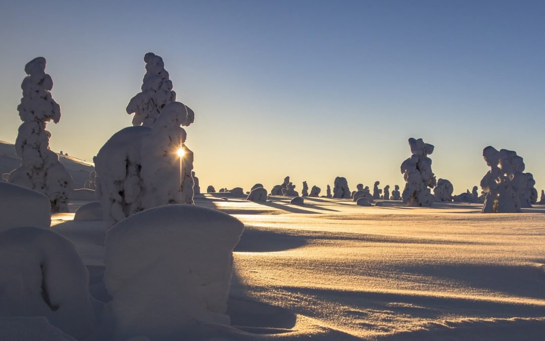 3 Nature Parks Trip from Rovaniemi (3 Days)