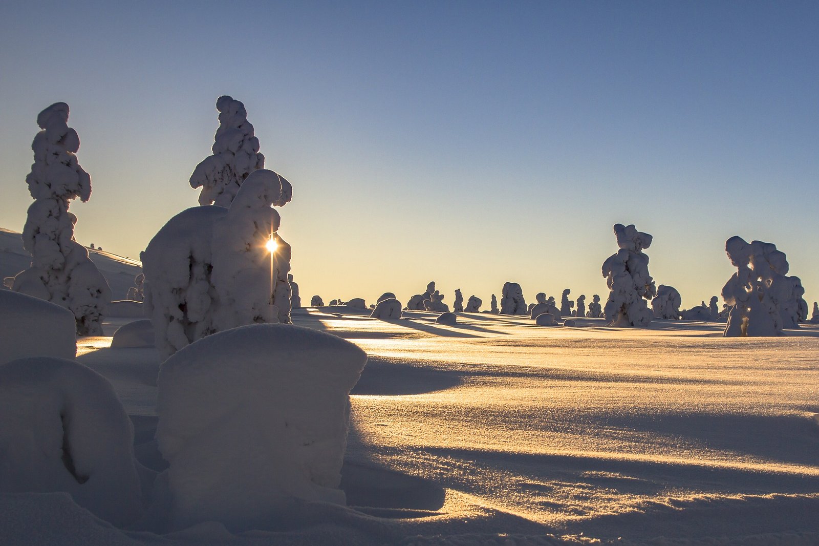 Snowy nature Finland