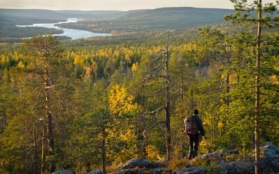 12 choses à faire à Rovaniemi en Automne (2023)