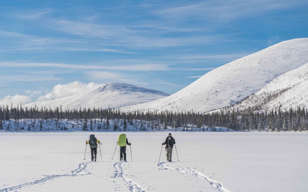 Expédition à Ski en Laponie (4 Jours)