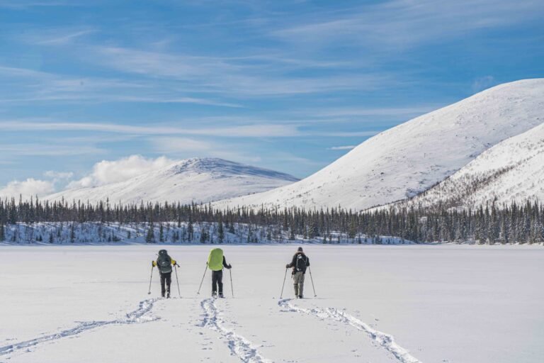 Ski Expedition Laponie-Rovaniemi - Odyssée Arctique