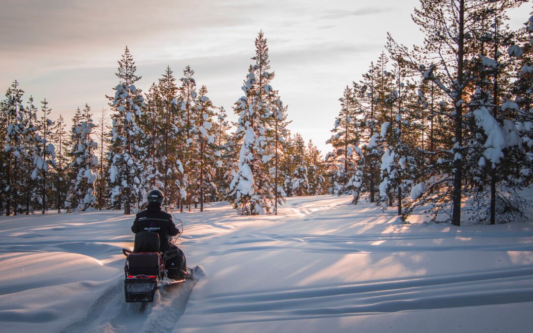 Noon Safari to Arctic Wilderness by eSleds