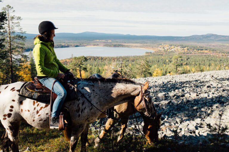Small group horseback riding to Soutaja fell 2h — Image 1