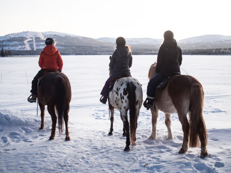 A small group horseback riding tour in the snow — Image 1
