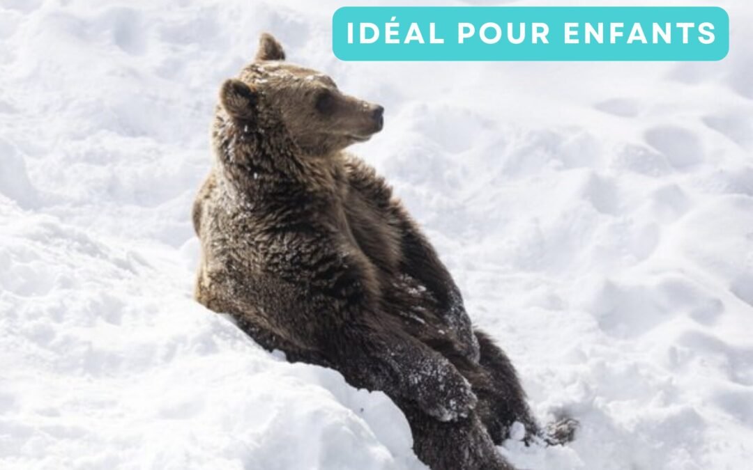 Excursion Privée au Parc Animalier de Ranua