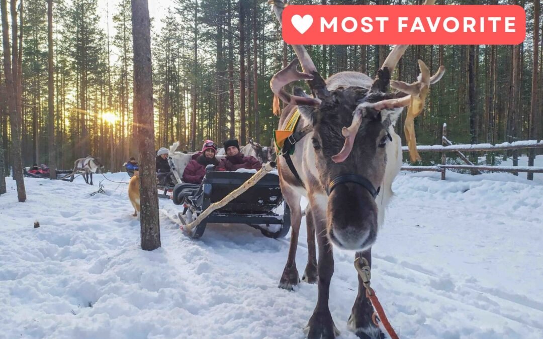The Longest Reindeer Safari from Rovaniemi (7km)