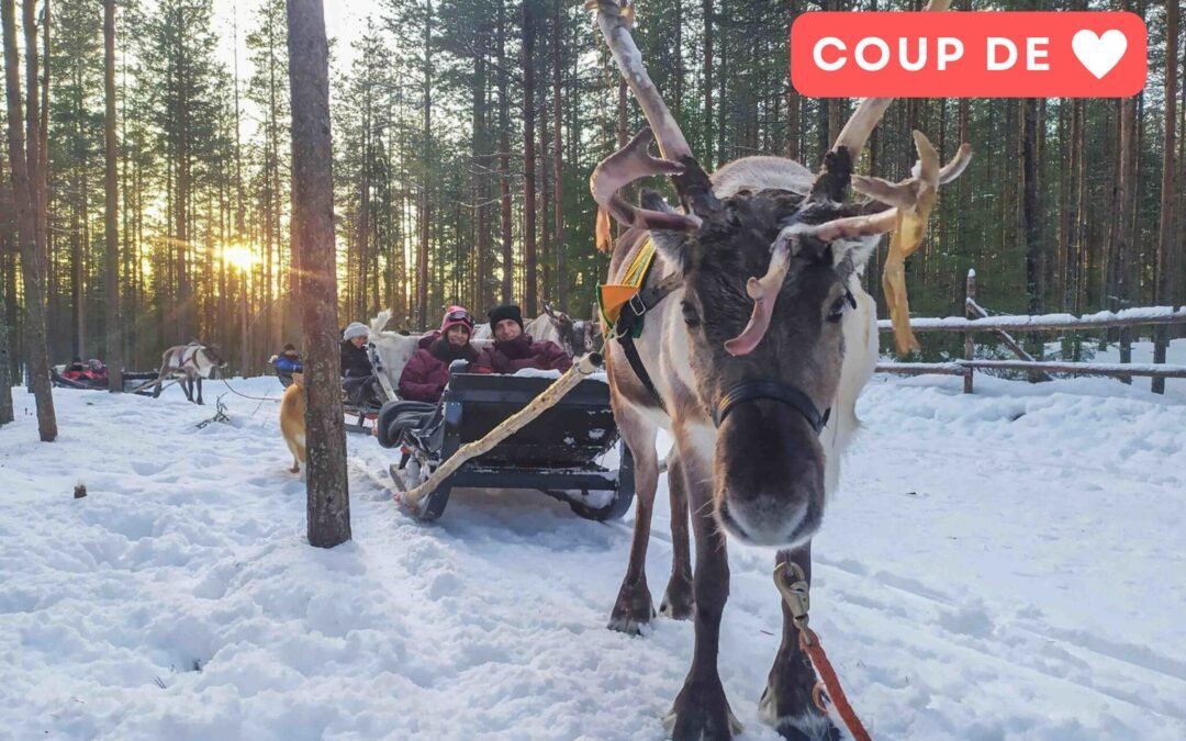 Le Plus Long Safari en Rennes depuis Rovaniemi (7km)
