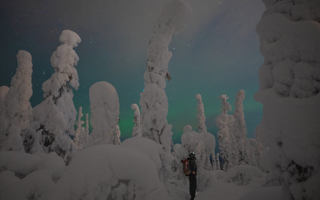 Aventure Nocturne en Raquettes (Tour d&rsquo;Aurores Boréales)