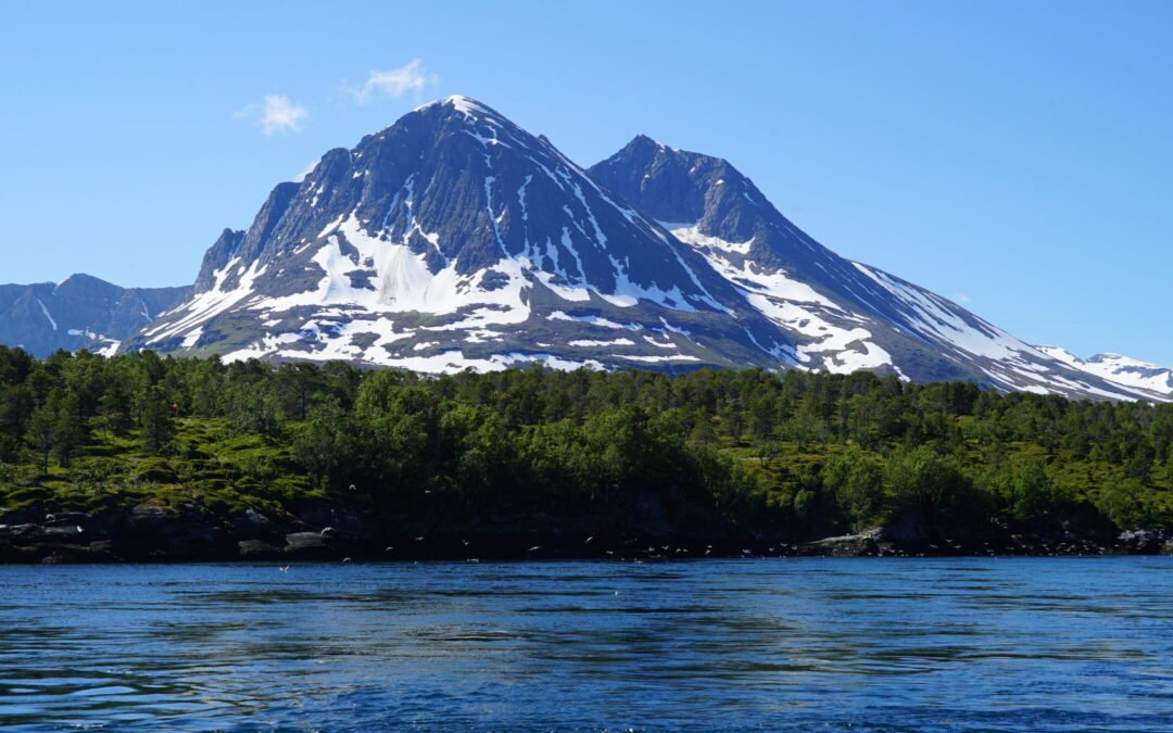 Small-Group Arctic Fjord Sightseeing Cruise