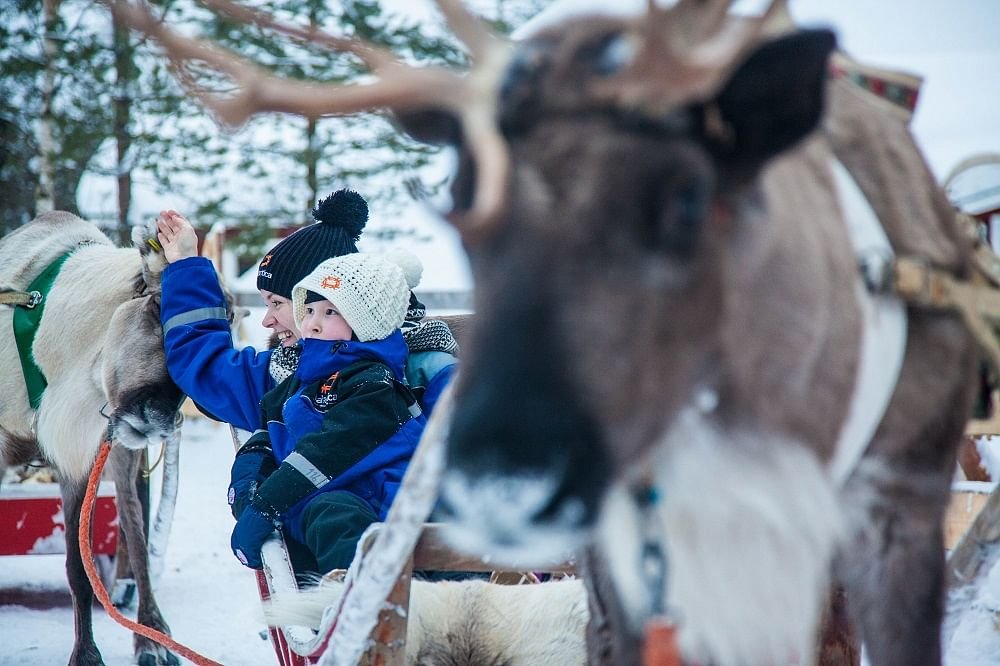 Reindeer farm experience (4km safari) from Ylläs
