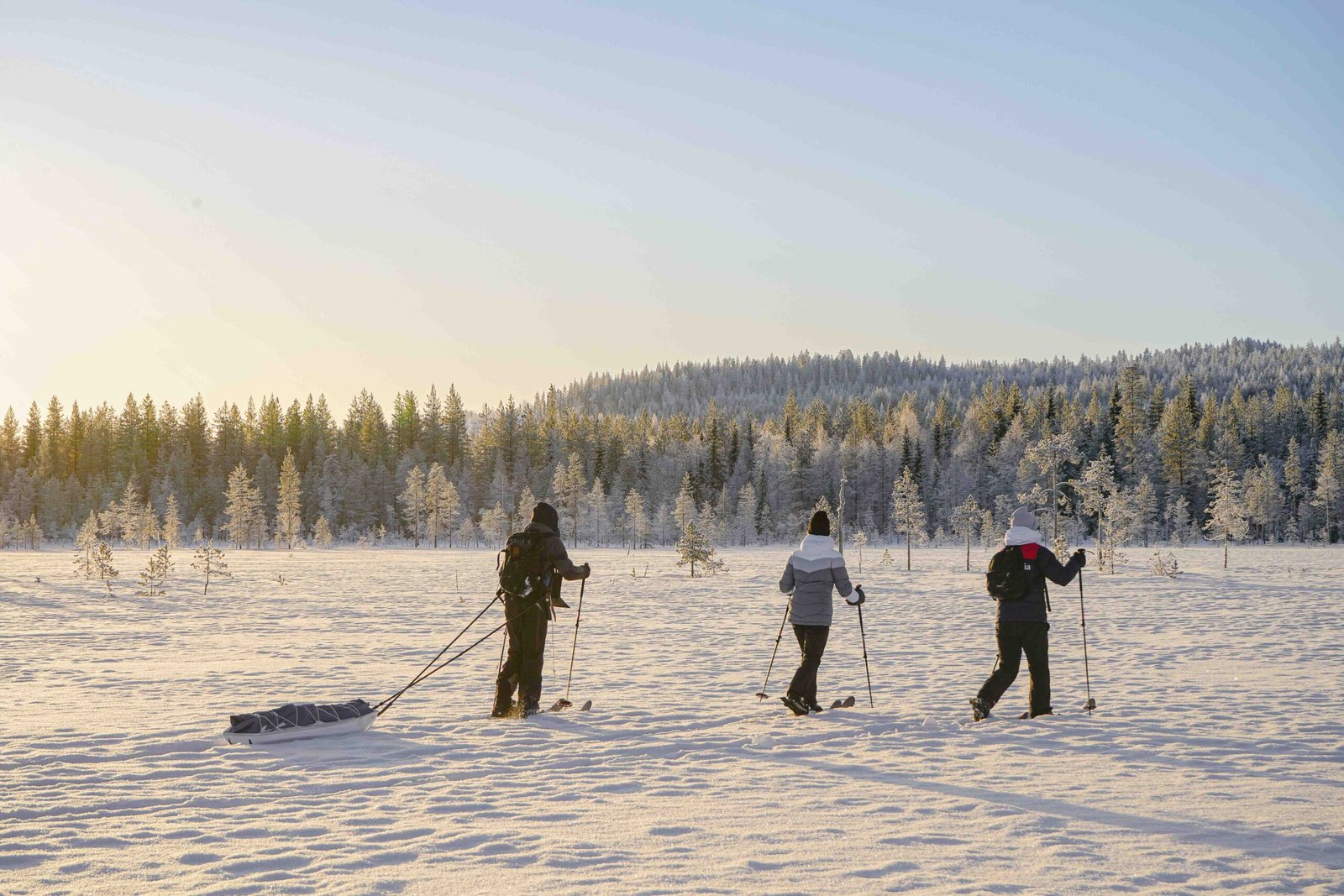 Ski Expedition Rovaniemi