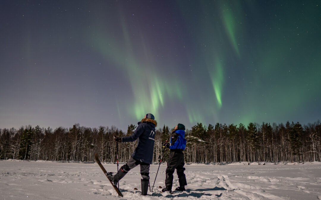 Ski Trekking by Night (Aurora Borealis Tour)