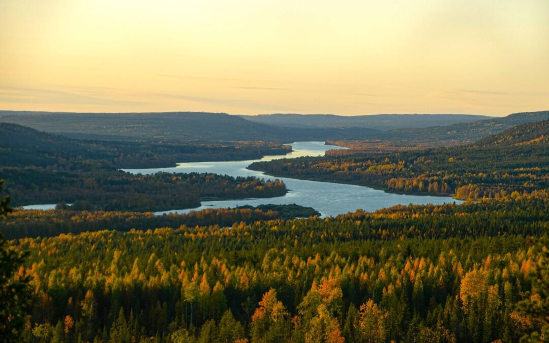 Forfait séjour d’automne en Laponie à Rovaniemi (Septembre)