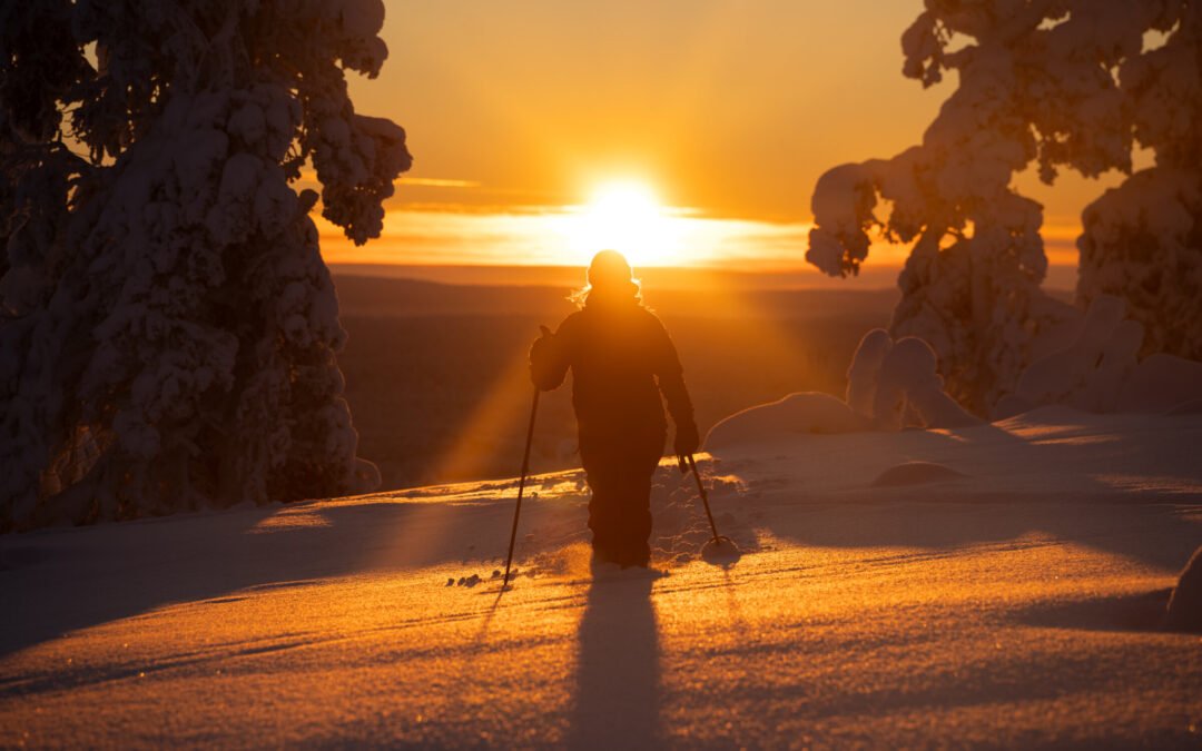 Séjour Privé en Chalet au Parc National de Ylläs (avec Guide Francais)