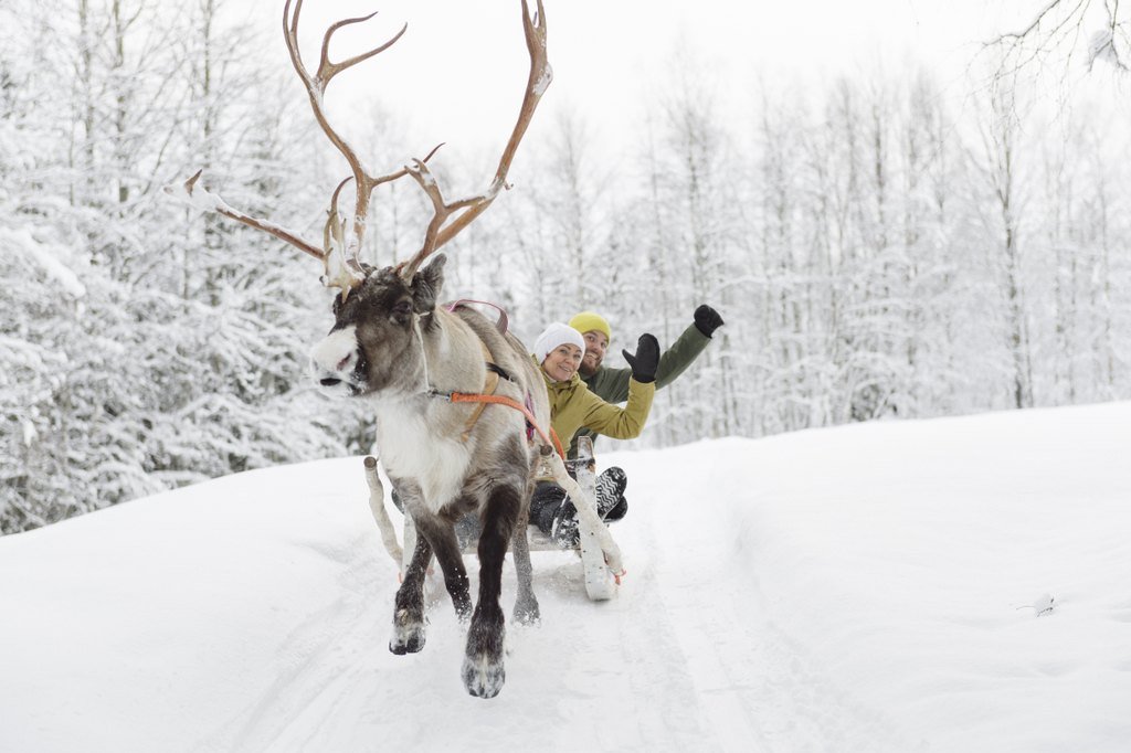 Rovaniemi longue balade rennes