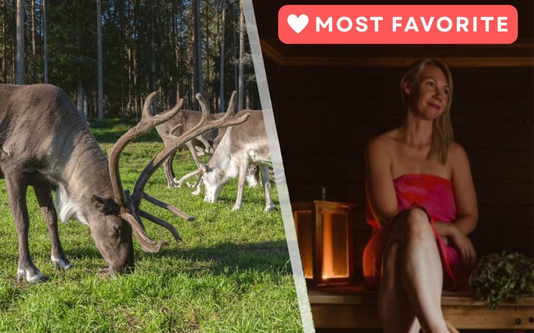 Local Lifestyle : Reindeer & Wilderness Sauna (Private)