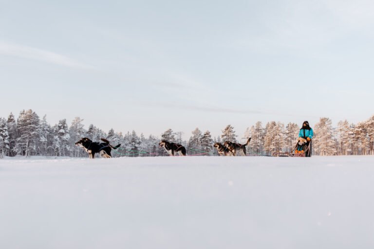 Call of the Wild Tour — Image 1