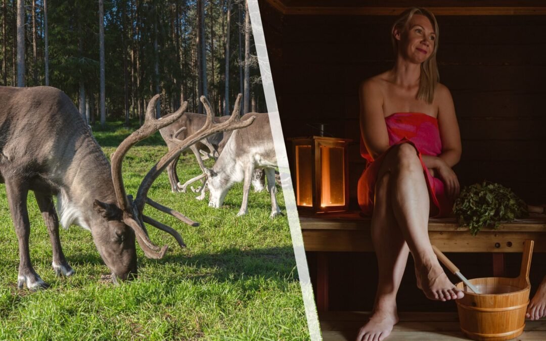Ferme de Rennes & Sauna Traditionnel – Expérience Privée