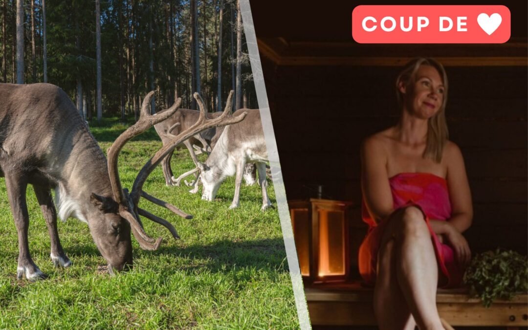 Ferme de Rennes & Sauna Traditionnel – Expérience Privée