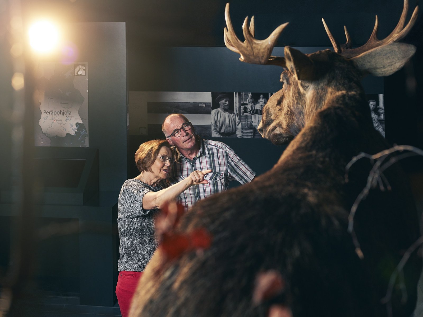 Two people in the museum looking at things on the wall. A fake reindeer in the first plan.