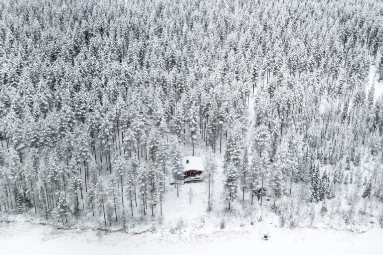 Hiver sauna experience - Winter