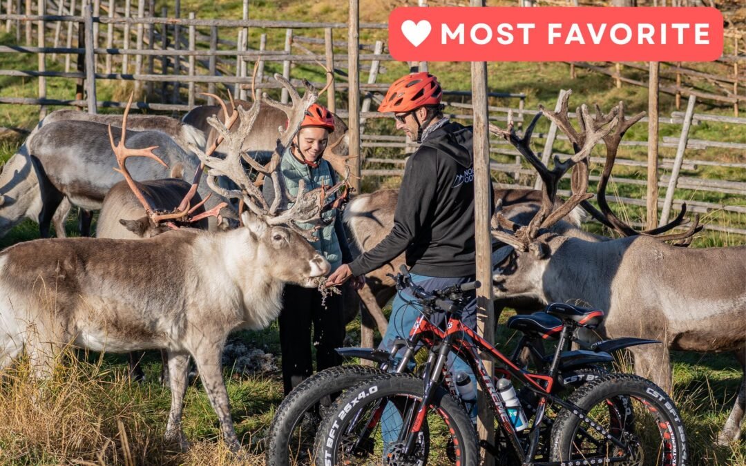 Electric Fatbike Trip to the Reindeer Farm