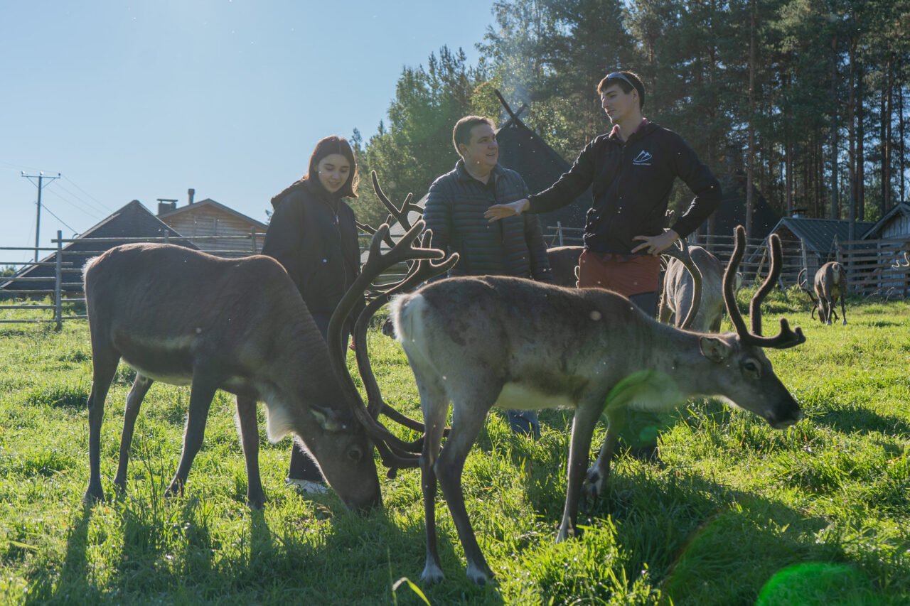 Reindeer Farm Experience in Summer & Autumn | Rovaniemi Tours