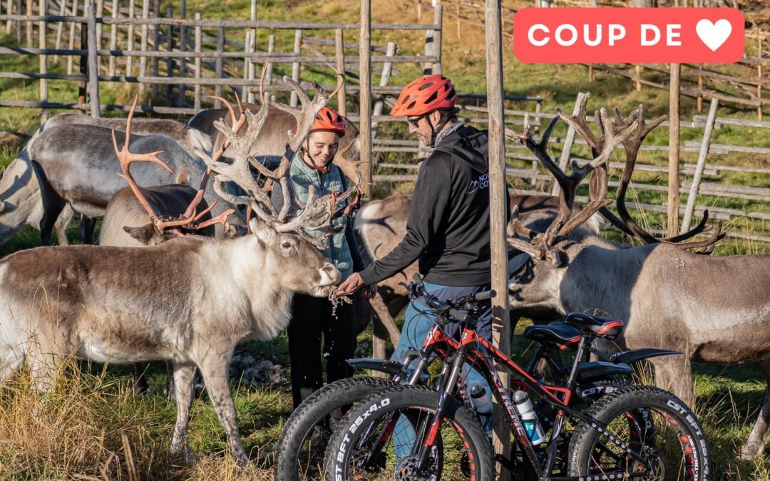 Excursion en Fatbikes Électriques à la Ferme de Rennes