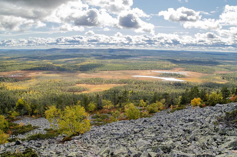 Landscape of the Pyhä-Luosto National Park on the independent hike from Rovaniemi.