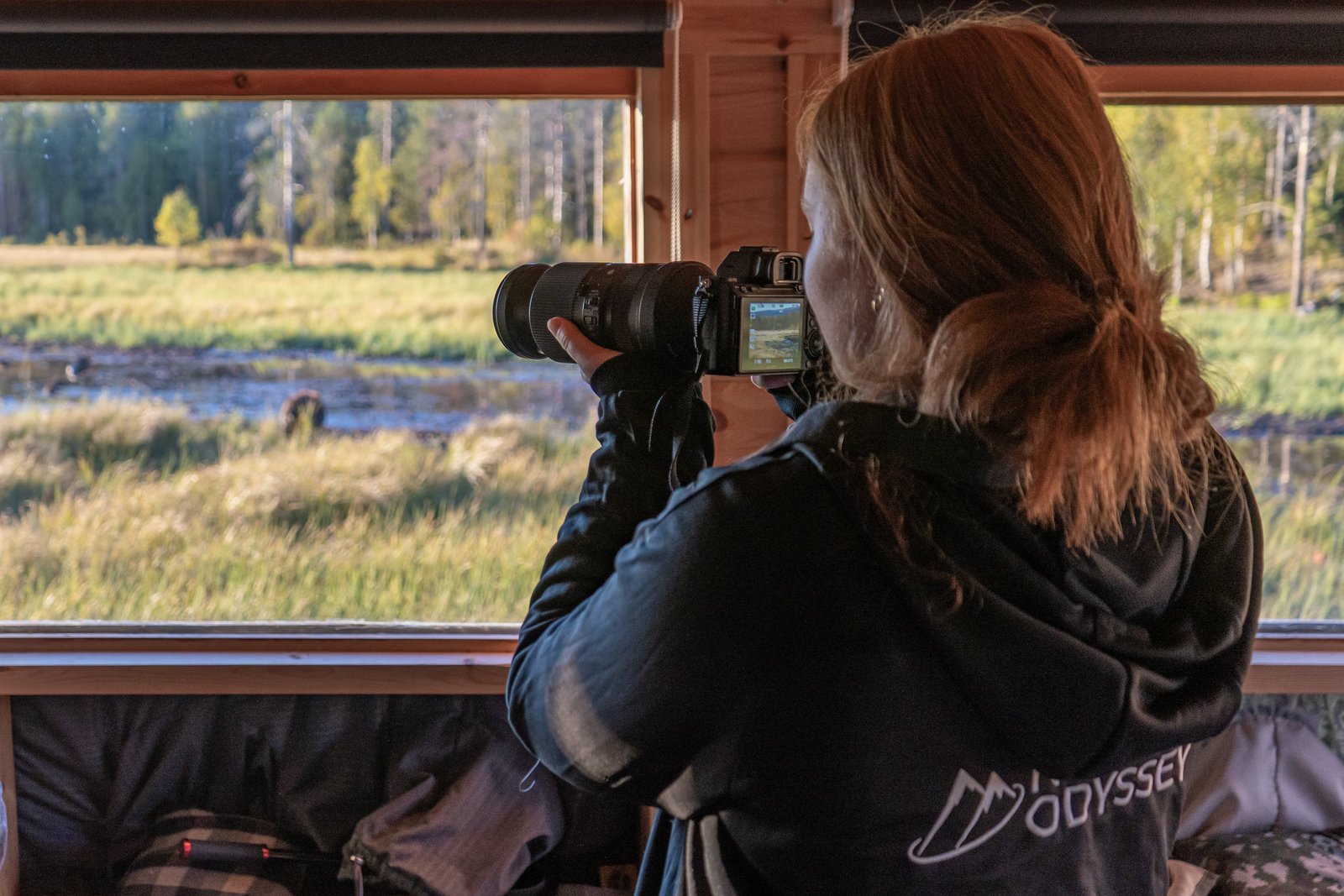 Bear watching lapland Rovaniemi