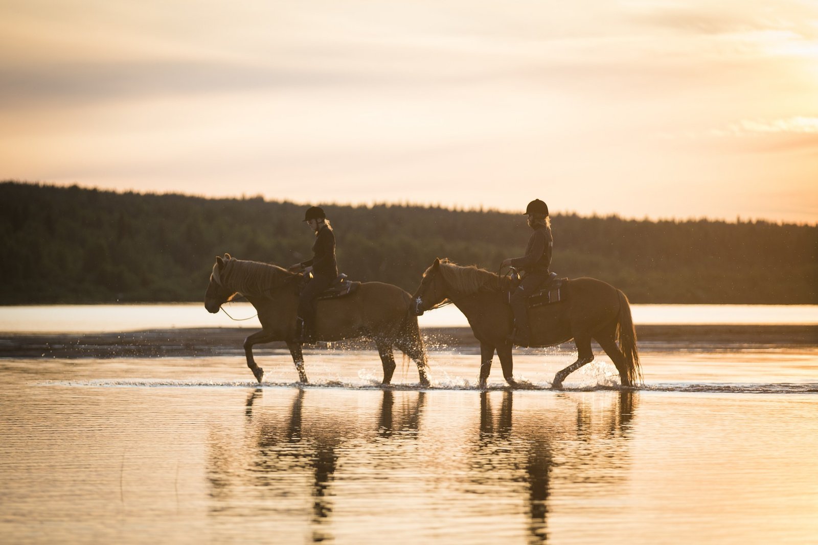 Horseback riding in summer in Rovaniemi Lapland Finland