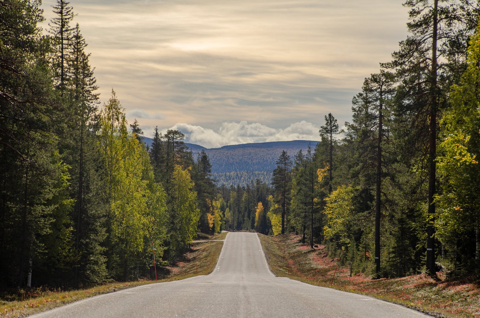 Lapland road trip summer autumn