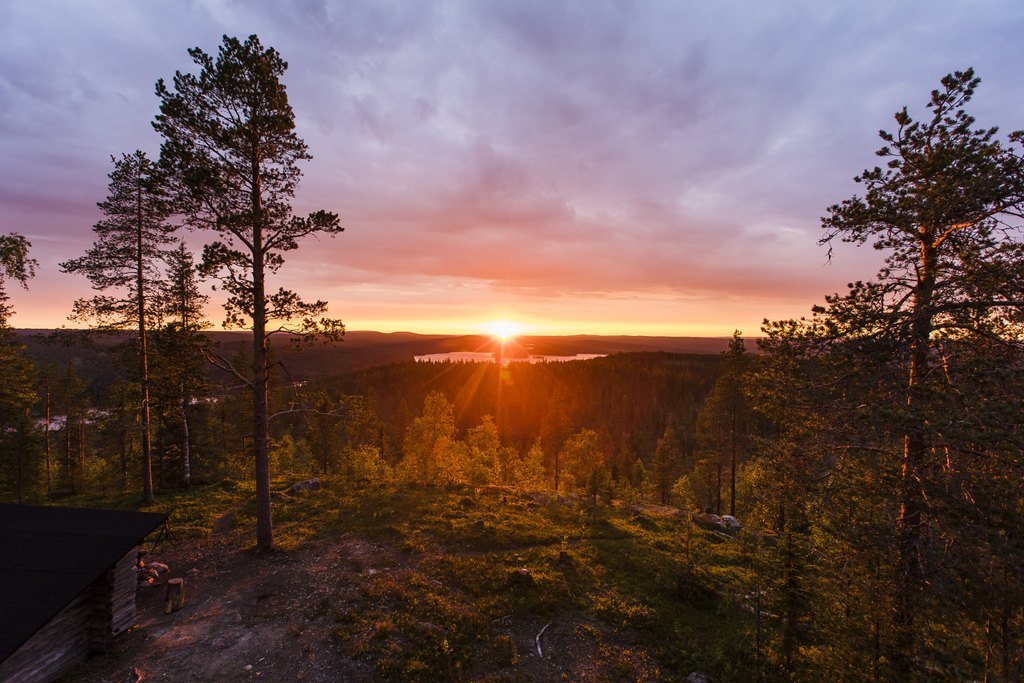 Finnish forest landscape from the independent hike from Rovaniemi