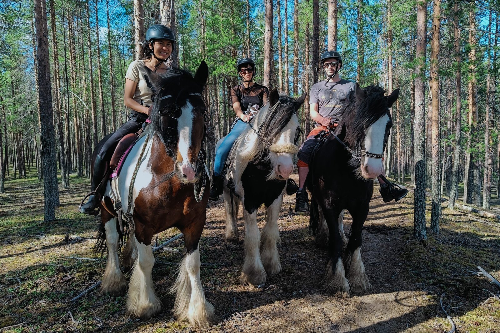 horse ride rovaniemi_