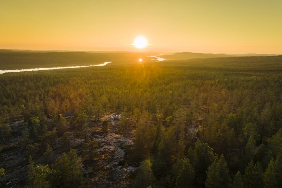 Forest Near Rovaniemi 5 Unmissable Hikes from Rovaniemi | Summer and Autumn