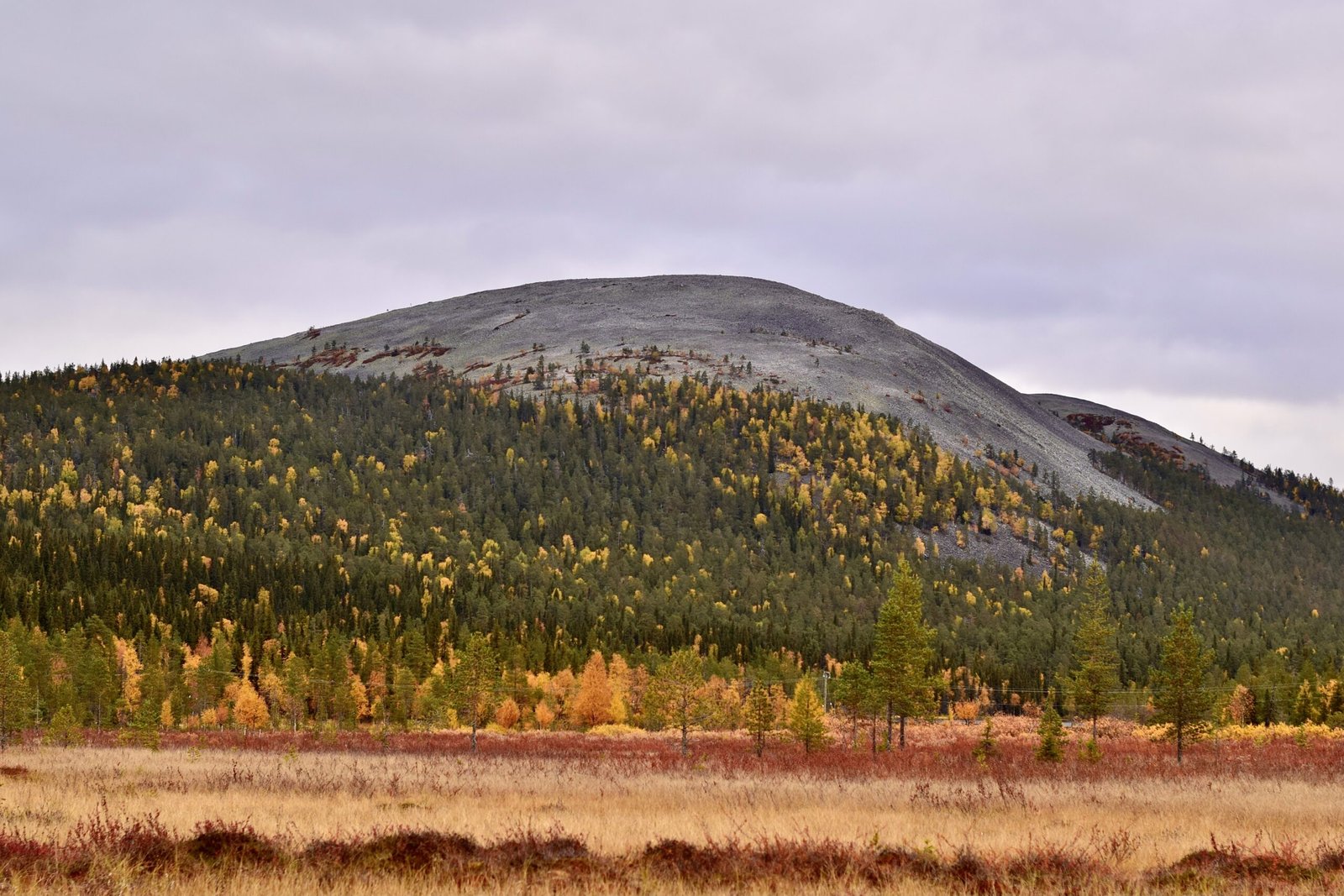 Landscape in Lapland during Fall by Meredith Chuzel