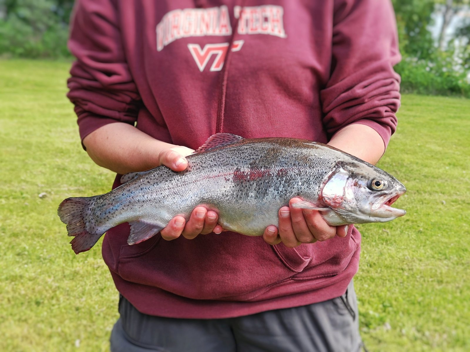 Boat fishing rovaniemi