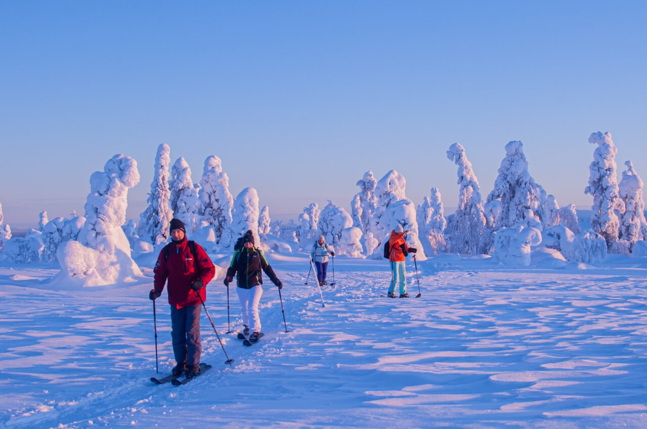 3-Day Ski Trekking in Pyhä - Luosto National Park | Lapland