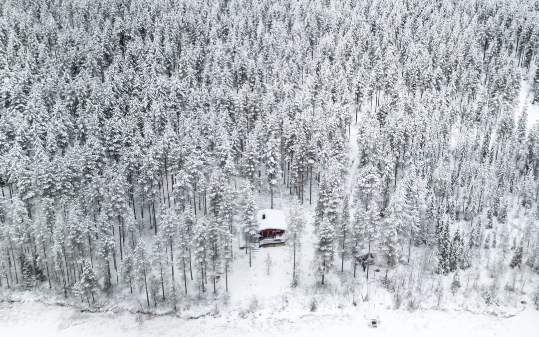 Ski Adventure with Overnight in a Wilderness Cottage & Sauna (Private)