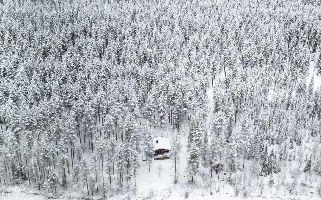 Aventure privée à ski et nuit en chalet avec sauna en pleine nature