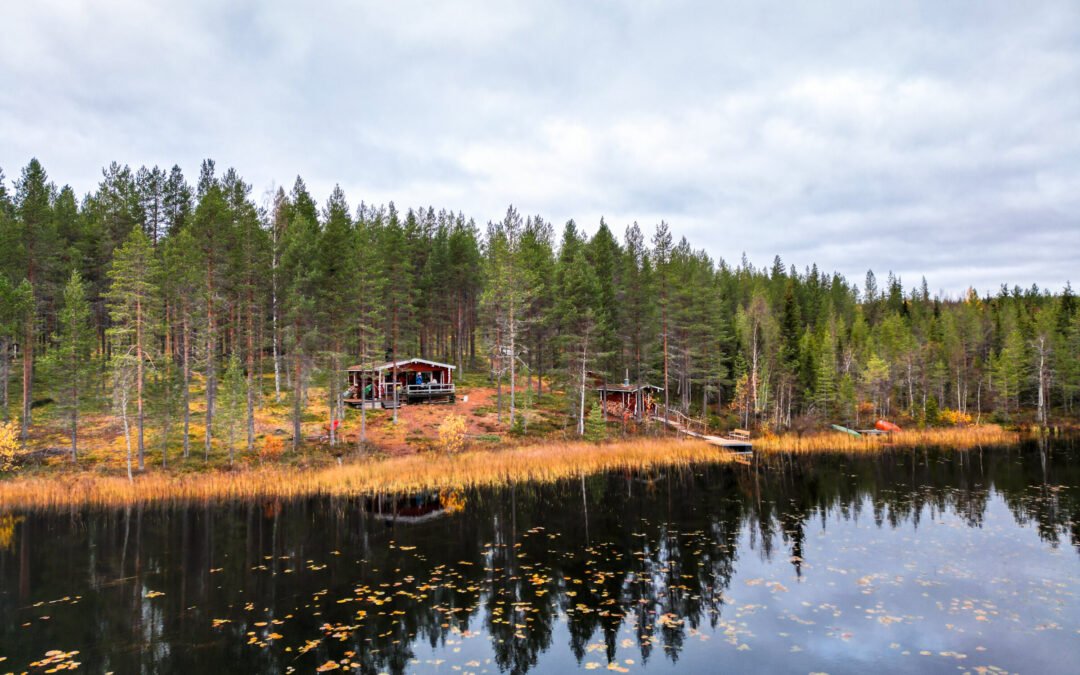 Expérience privée de sauna en pleine nature en été & automne