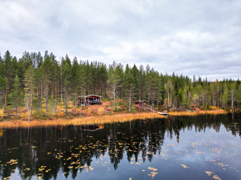 Expérience privée de sauna en pleine nature en été & automne