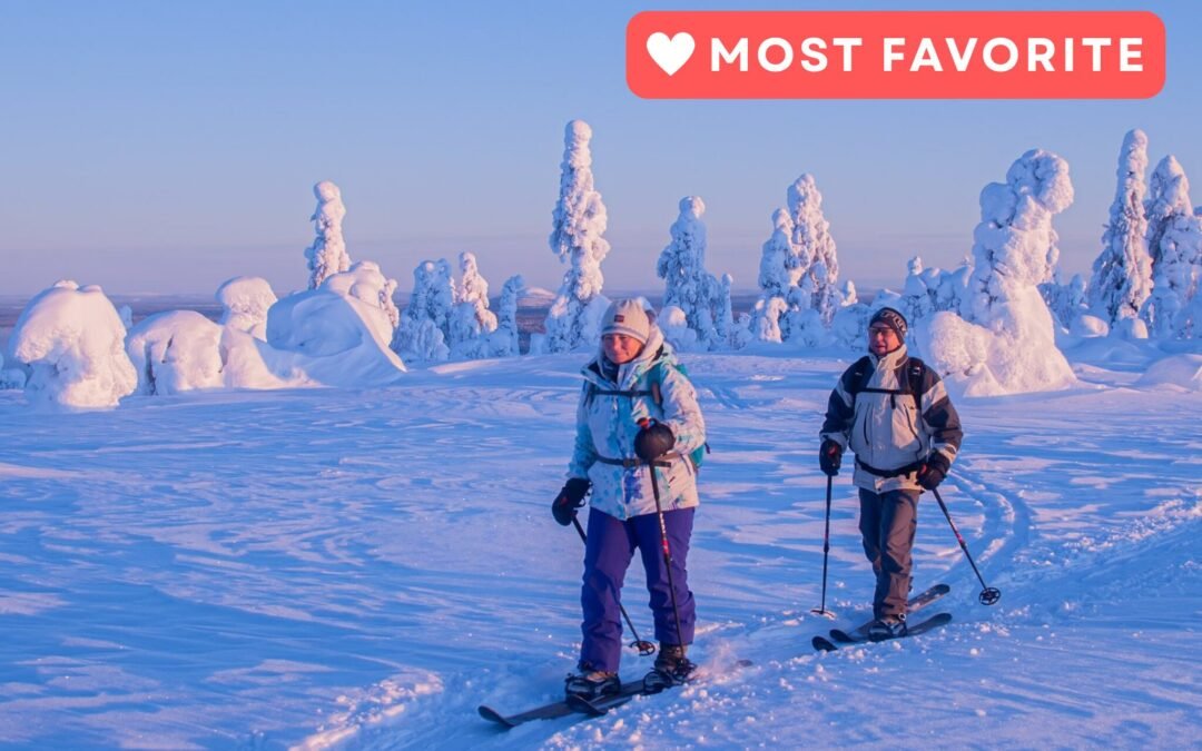Premium Snowshoe or Ski Adventure in Lapland (Private Tour)