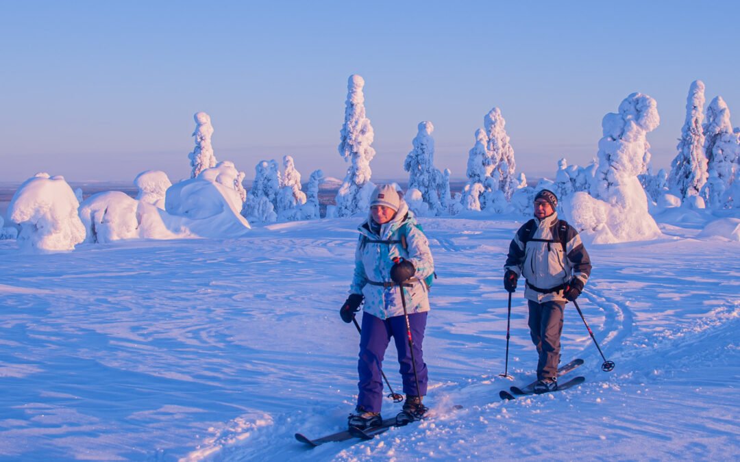 Premium Snowshoe or Ski Adventure in Lapland (Private Tour)