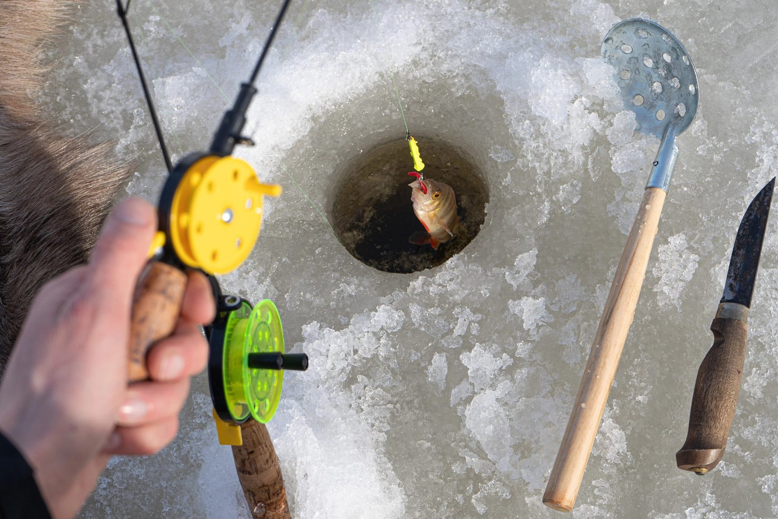 Ice Fishing with a Local Fisherman from Rovaniemi