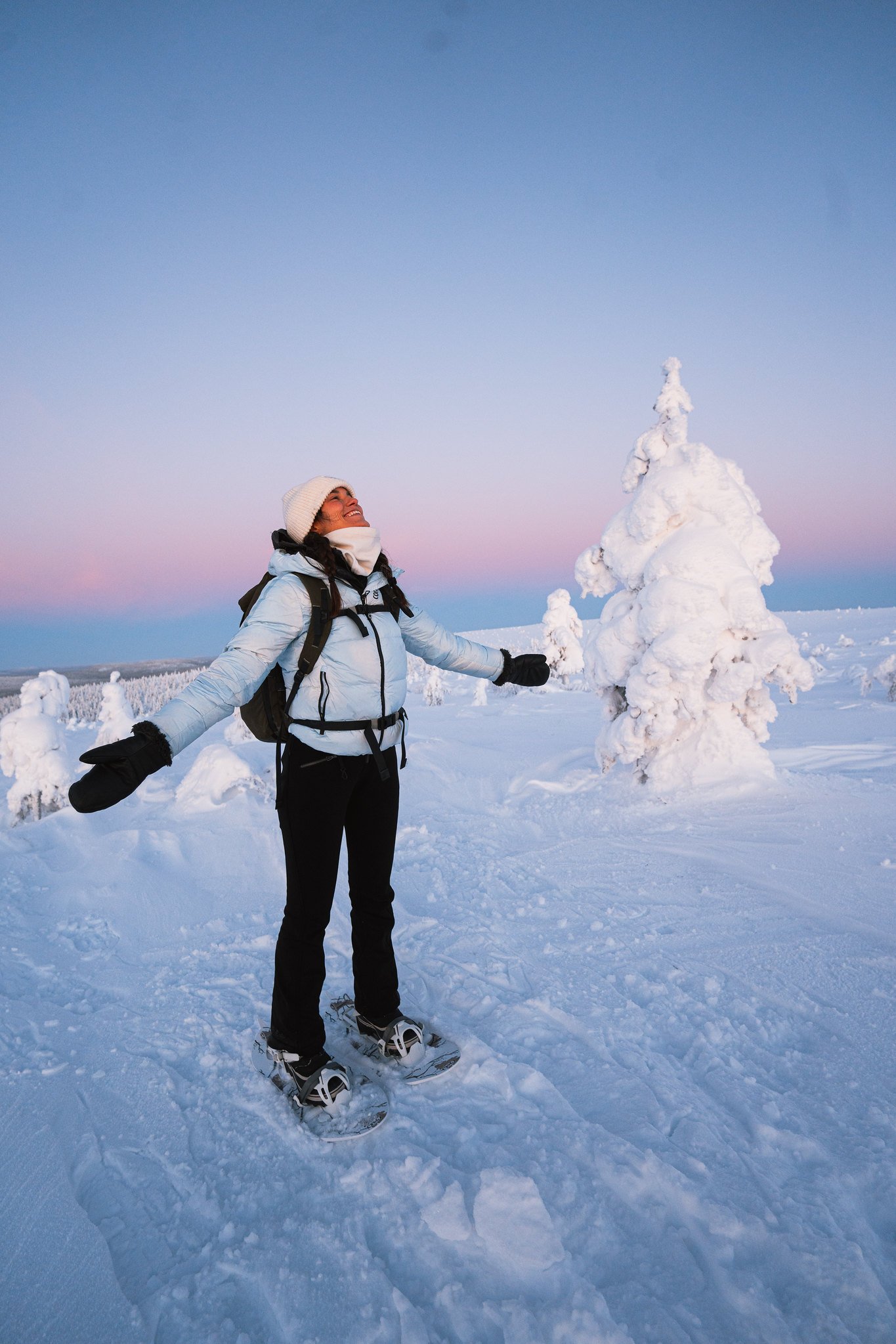 Excursion au Parc National de Riisitunturi depuis Rovaniemi (Privée)